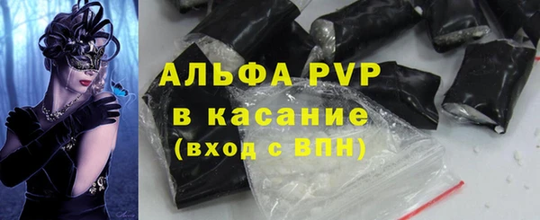 PSILOCYBIN Покачи