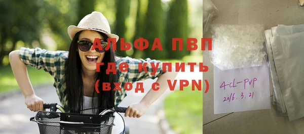 PSILOCYBIN Покачи