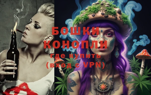 PSILOCYBIN Покачи