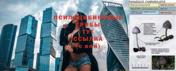 первитин Покров