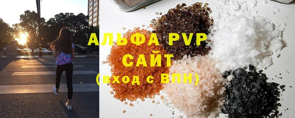 PSILOCYBIN Покачи