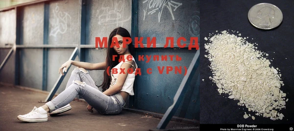 PSILOCYBIN Покачи
