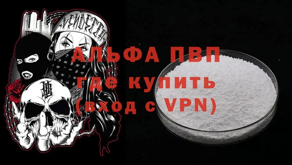 PSILOCYBIN Покачи