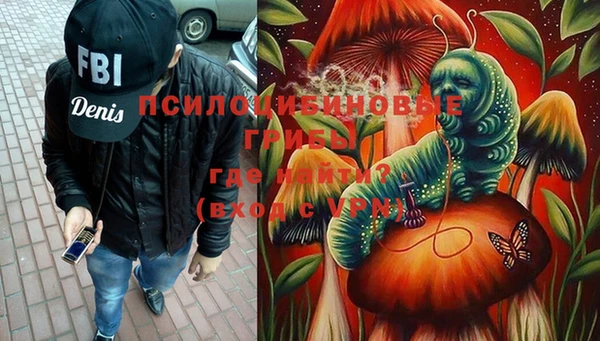 тгк Пересвет